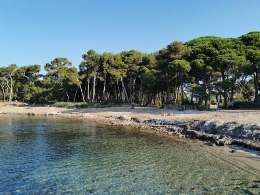 Charmant Studio Climatise 24 M2 Terrasse A 100M De La Plage サン・マンドリエ・シュル・メール エクステリア 写真